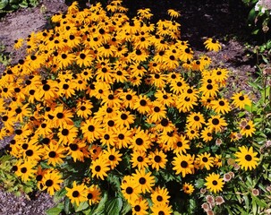 Collection of International Gardens – Landscaped Gardens from Different Countries in One Place