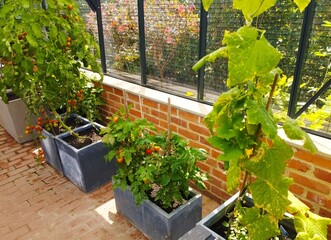 Collection of International Gardens – Landscaped Gardens from Different Countries in One Place