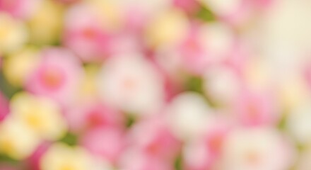 Obraz premium Soft, Dreamy Floral Abstract: Pink, Yellow, and White Bokeh Blooms.
