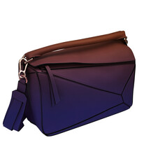 Image of a handbag for fashion on transparent background