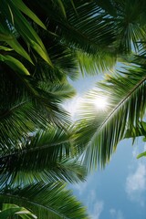 Obraz premium Sunlight through palm leaves in a tropical setting under a clear blue sky