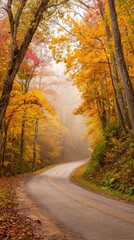 Naklejka premium Autumnal forest road winding path