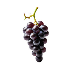 Fototapeta premium Fresh Cluster of Juicy Black Grapes on White Background