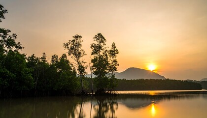 Tranquil sunset over a mangrove forest reflected in a calm lake, showcasing the silhouettes of trees against the warm golden light.