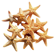 Cluster of starfish, light orange/tan color, intricate patterns