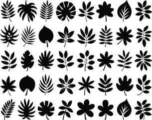 Diverse Collection of Tropical Leaf Silhouettes for Nature-Inspired Designs