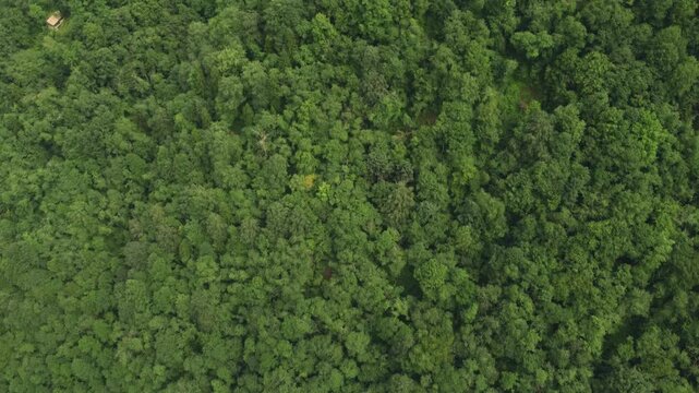 Trabzon Ma&ccedil;ka Drone