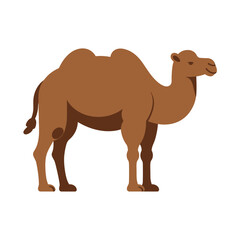 Illustration of a camel, showcasing its distinctive humps and features, a symbol of desert adaptation and resilience