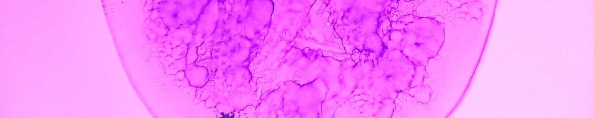 Water Glitter. Acrylic Paint Interior. Gold Art