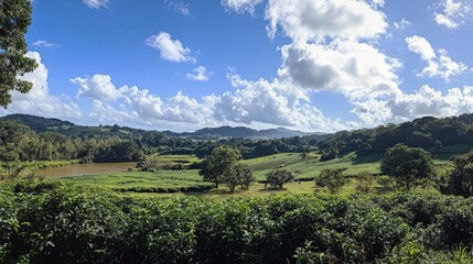 Obraz premium Lush landscape of tea and coffee plantations with a flowing river.