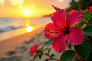 Vibrant hibiscus blooms at sunset, golden sand , vibrant, flora, serenity