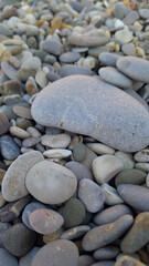 A close-up view of various smooth pebbles and stones on a beach. The stones vary in size and color,...