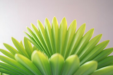 Close up view of a vibrant green artificial flower with a soft focus background showing petals 100
