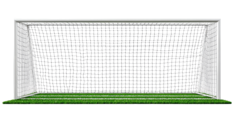 Soccer goal with net and grass