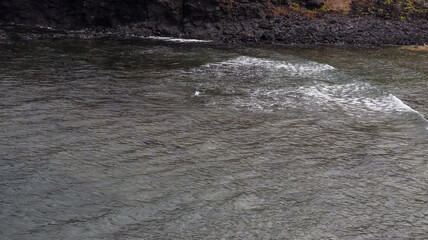 Turquoise waters and green cliffs form the stunning coast of Fernando de Noronha, Brazil.