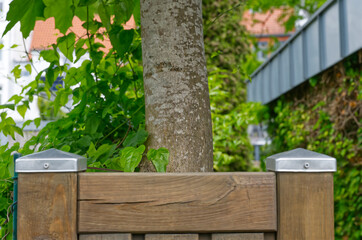 Small wooden fence with capped posts and tree growing just behind it