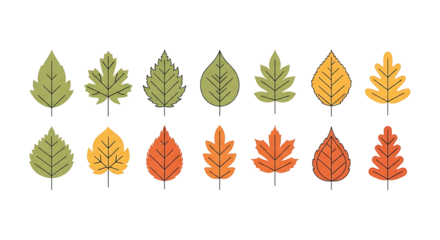Assorted Autumn Leaves Illustration in Green Yellow and Orange Hues.
