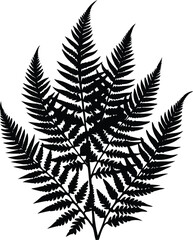 Abstract Fern Design Silhouette