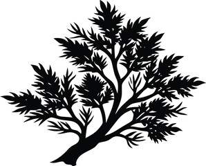 Cypress Branch Silhouette