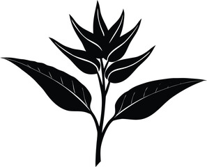 Heliconia Flower Silhouette