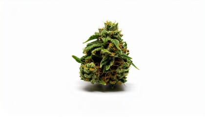 Cannabis Bud Isolated on White Background