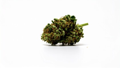 Cannabis Bud Isolated on White Background