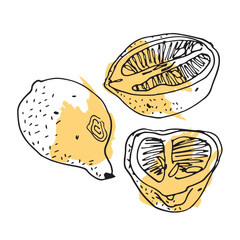 set of lemons from whole fruit and halves in sketch style on yellow spot, pulp with seeds