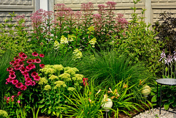 Jeżówka purpurowa, rozchodnik okazały, rozplenica japońska, sadziec i hortensja bukietowa, rozchodnikowiec, Echinacea purpurea, Hylotelephium spectabile (Sedum), Hydrangea paniculata, Eupatorium, © kateej