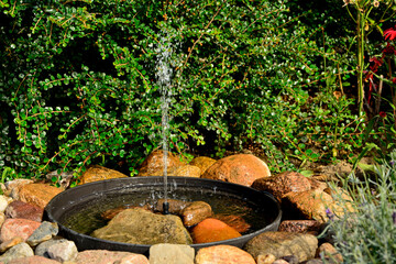 źródełko w ogrodzie, mini fontanna solarna otoczona kamieniami i zielonymi roślinami, tryskający strumień wody z małej fontanny ogrodowej, a solar fountain in a small bowl in the garden  © kateej