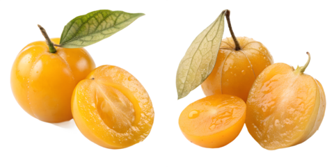 Ripe physalis on a stem with leaves, exotic fruit with vibrant orange berry, isolated on transparent background