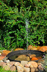 źródełko w ogrodzie, mini fontanna solarna otoczona kamieniami i zielonymi roślinami, tryskający strumień wody z małej fontanny ogrodowej, a solar fountain in a small bowl in the garden	
