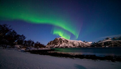 Naklejka premium Northern Lights over a snowy fjord