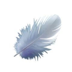 Obraz premium Delicate White Feather with Blue Hues on Black Background