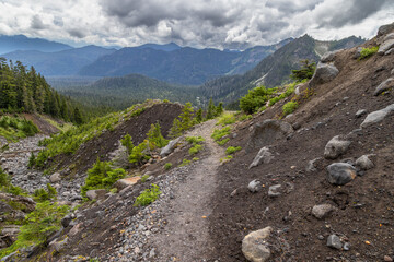 path to the mountains