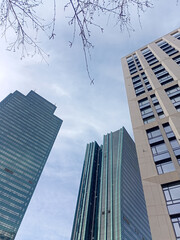 Modern skyscrapers and high rise office buildings with glass facades against blue sky view from below with tree branches in frame. Concept of business architecture real estate urban development.