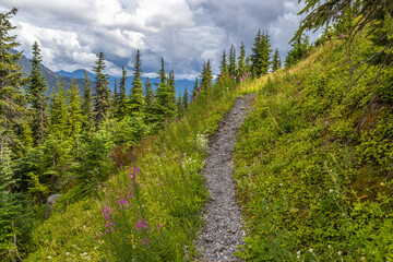 Obraz premium path in the mountains