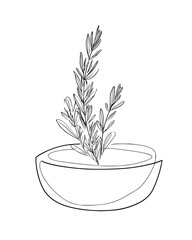 Minimalist line art of rosemary plant in a pot, ideal for adding a touch of nature to your designs and creative projects vector art drawing