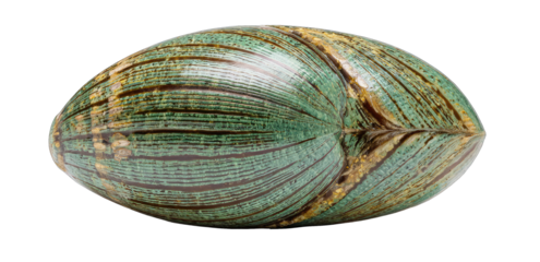 Oval, textured, greenish-brown ceramic object