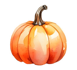 Watercolor farm pumpkin illustration, isolated autumn vegetable PNG, hand painted organic harvest clipart, rustic orange pumpkin design, transparent background food element for kitchen art
