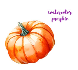 Isolated watercolor pumpkin clipart, autumn harvest vegetable PNG, hand drawn farm food illustration, healthy organic pumpkin design, transparent background element for thanksgiving and fall
