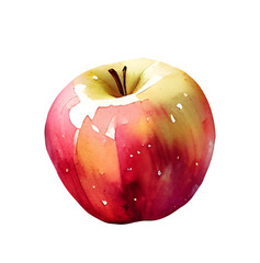 Hand painted watercolor apple illustration, isolated botanical PNG, organic fresh fruit clipart, red and green apple design with transparent background for recipe, packaging, and home decor