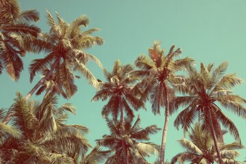 Palm trees reaching for a pastel sky