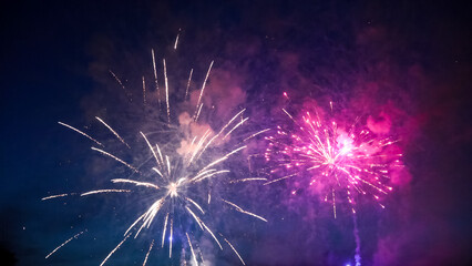 Colorful fireworks exploding in the night sky