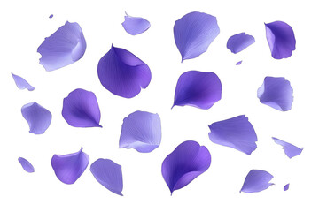 Scattered, delicate, purple flower petals