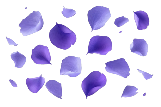 Scattered, delicate, purple flower petals