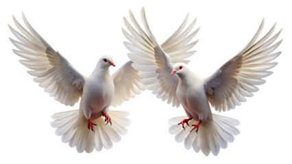Two white doves flying with wings spread, symbolizing peace, freedom, and hope, isolated on transparent background