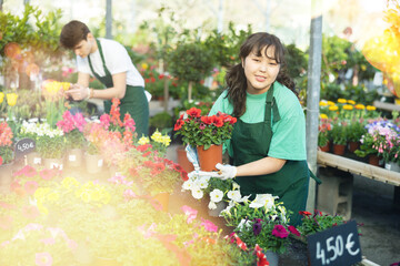 Cheerful friendly young asian florist girl working in greenhouse, showing potted blooming petunias...