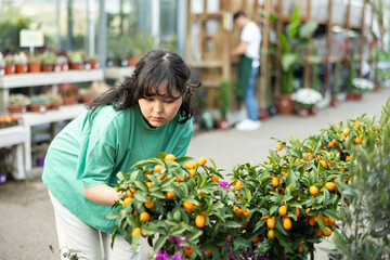Interested focused young asian girl choosing ornamental potted kumquat tree with ripe orange fruits...
