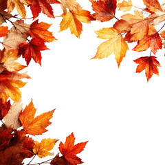 Autumn leaves frame (5)