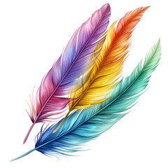 Vibrant multicolored feathers